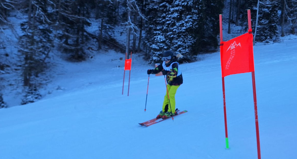 ski13